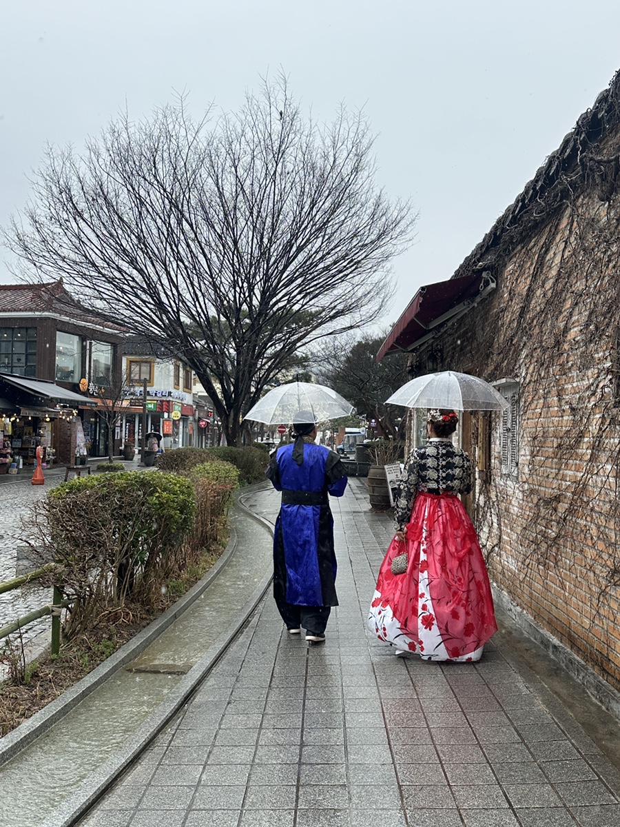 국내여행 여자 혼자 전주여행 실시간 날씨 옷차림 벚꽃 목련 개화 상태