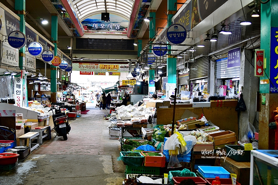 통영 가볼만한곳 중앙시장 활어 서호시장 통영 충무김밥 우짜 시락국 통영 꿀빵