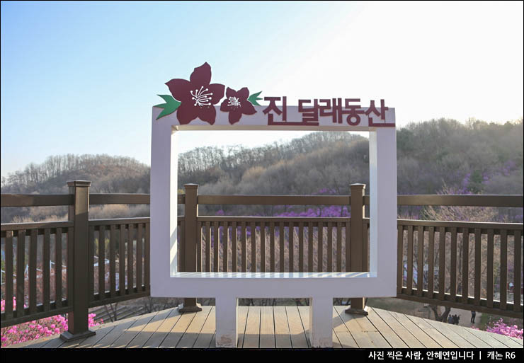 부천 가볼만한곳 데이트 코스 부천 원미산 진달래동산 공원 꽃구경