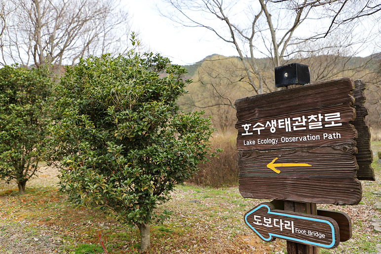 광주 여행 코스 광주호호수생태원 산책로 광주 드라이브 코스