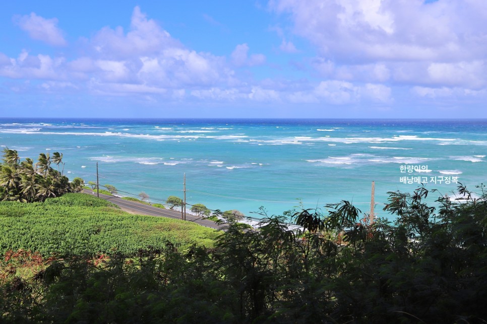 하와이 여행 오아후 섬 최고의 풍경 쿠알로아 랜치 무비투어