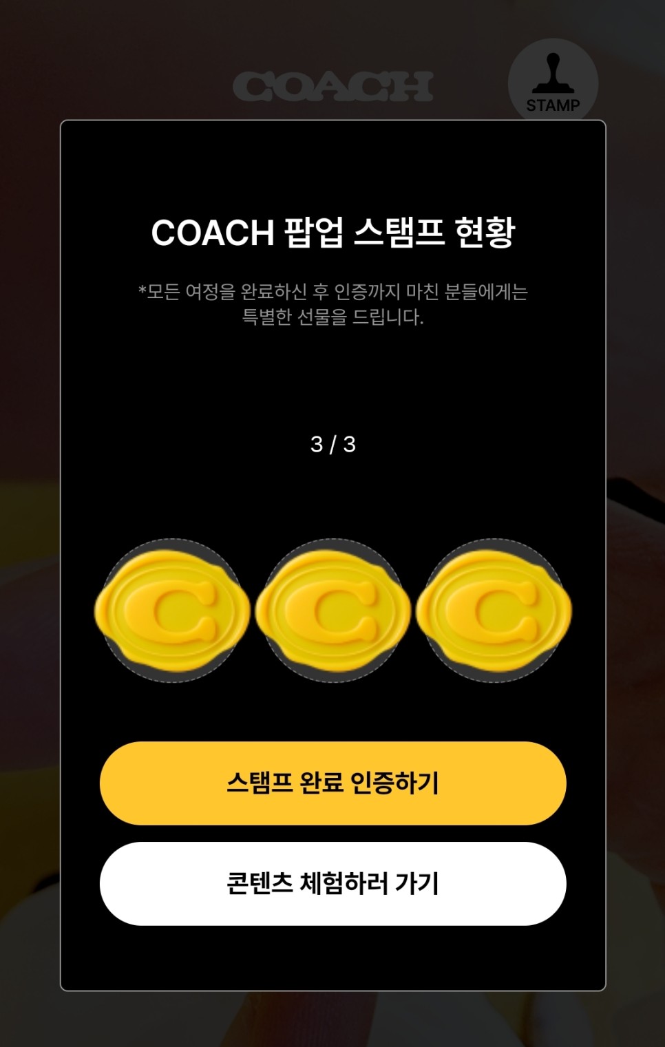 코치(COACH) 신상 가방 퀼팅 태비백 코치 성수 팝업스토어 가봄