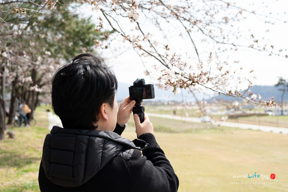 브이로그 카메라 디카추천 소니 ZV-1M2로 촬영하는 봄일상