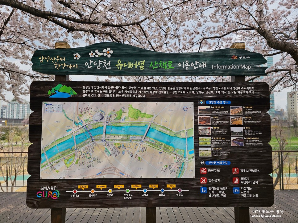 서울 경치좋은곳 안양천 벚꽃엔딩 벚꽃 절정 바라보며 걷기 좋은길