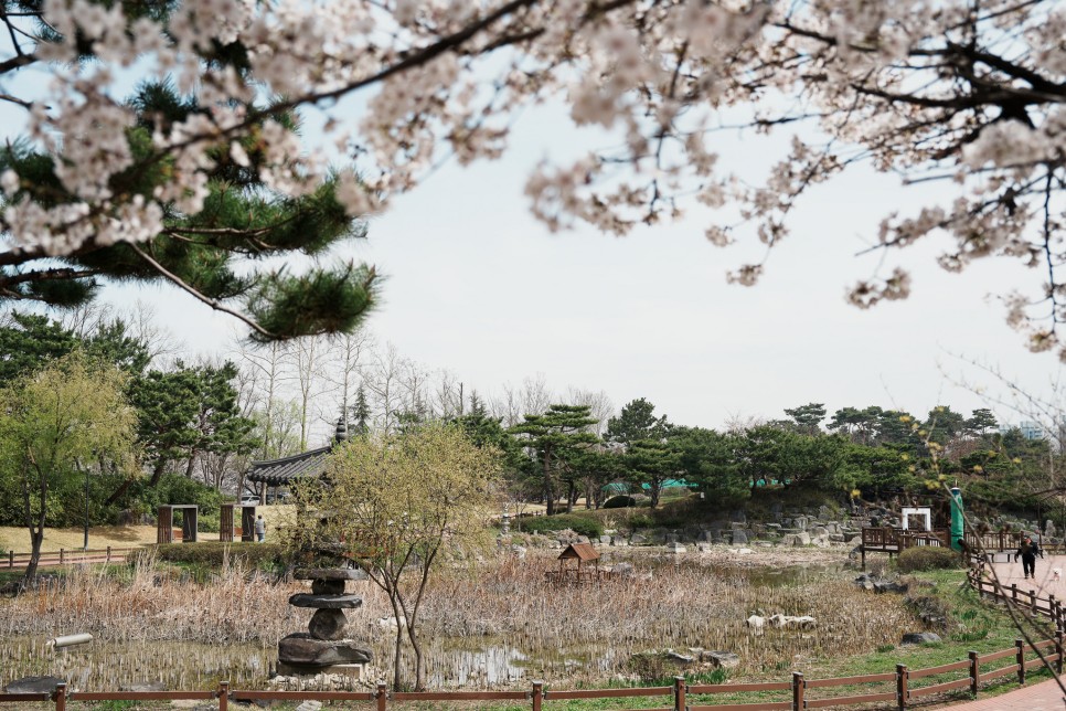 대전 여행지 유림공원 화훼원 튤립꽃밭과 봄꽃 풍경