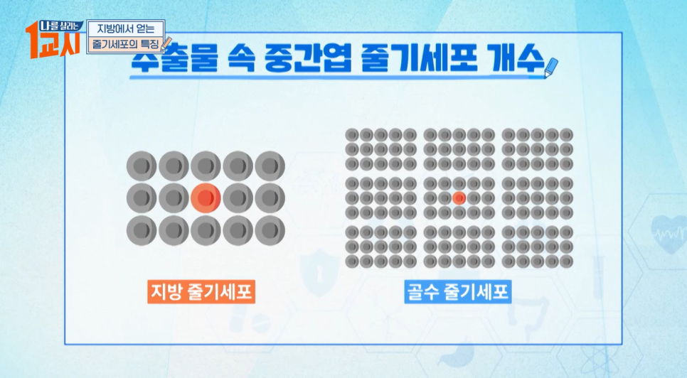 MBC 나를 살리는 1교시 연세사랑병원 고용곤, 정재현 의료진 줄기세포 치료와 골다공증 특강