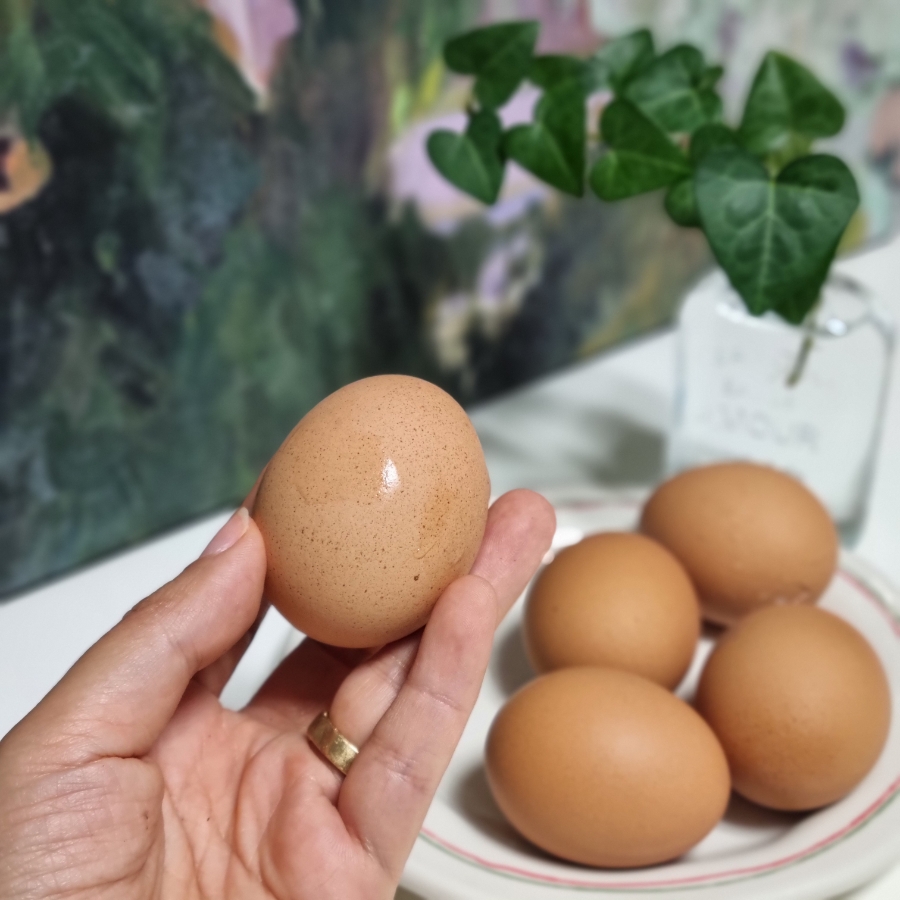 삶은 구운 계란 효능 날계란으로 먹어도 될까? 알레르기 부작용