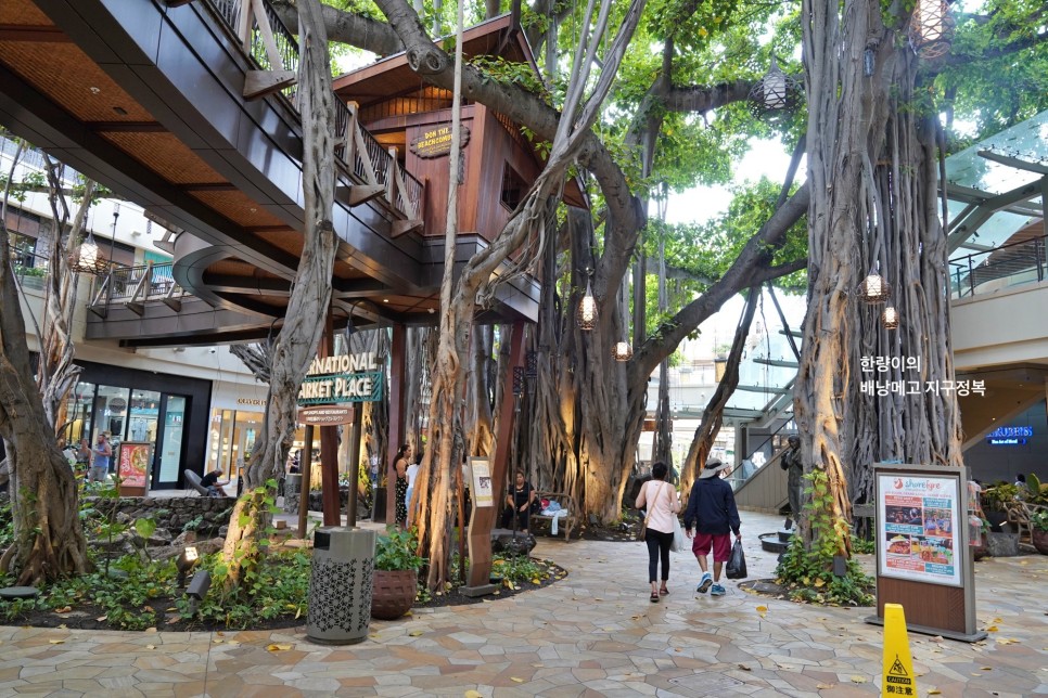 하와이 신혼여행 호텔 하얏트 센트릭 와이키키 투어비스 7% 숙소 할인
