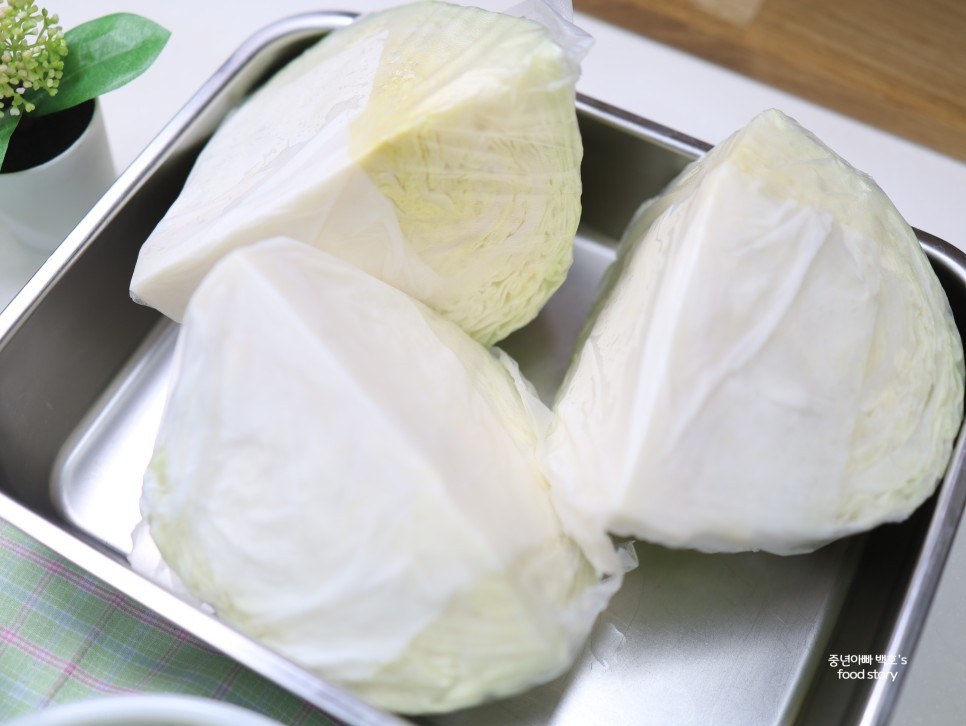 양배추 세척 씻는법 오래 보관법 칼로리 썰기 손질방법