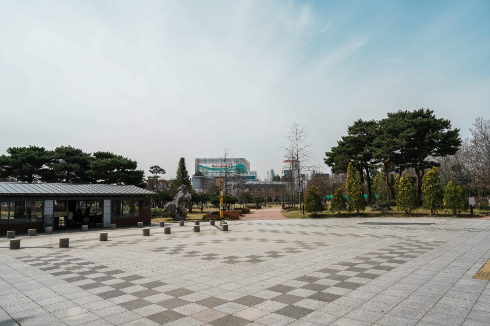 대전 여행지 유림공원 화훼원 튤립꽃밭과 봄꽃 풍경