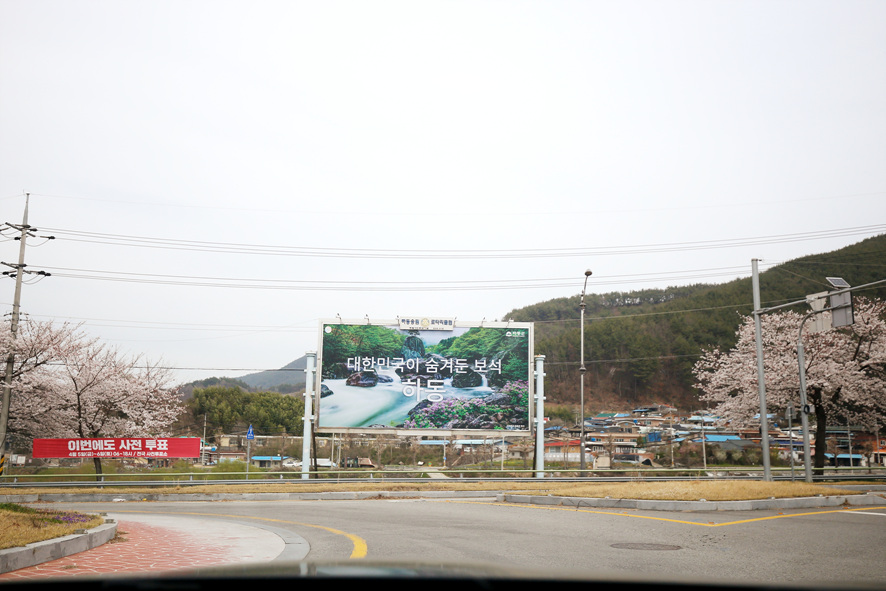 경남 하동 십리벚꽃길 명소 실시간 만개 CCTV 상황 주차 팁