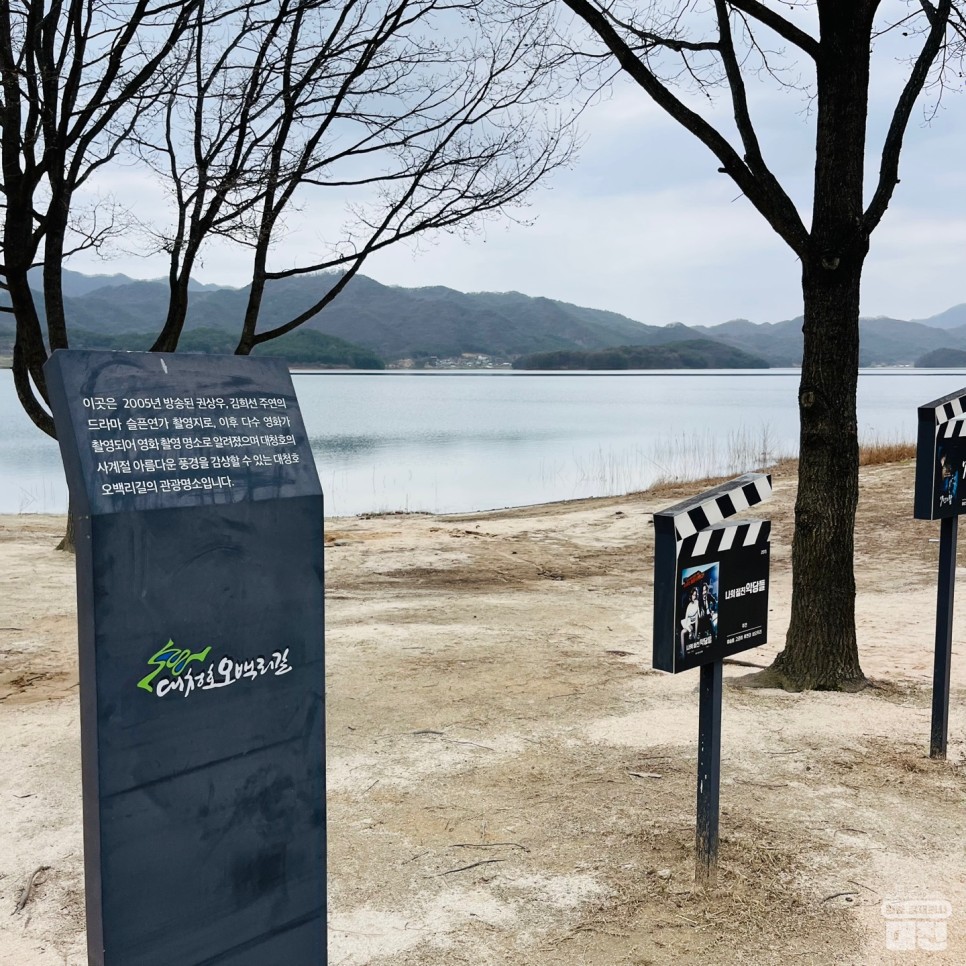 대전 동구 대청호 반려동물과 산책하기 좋은 명상정원