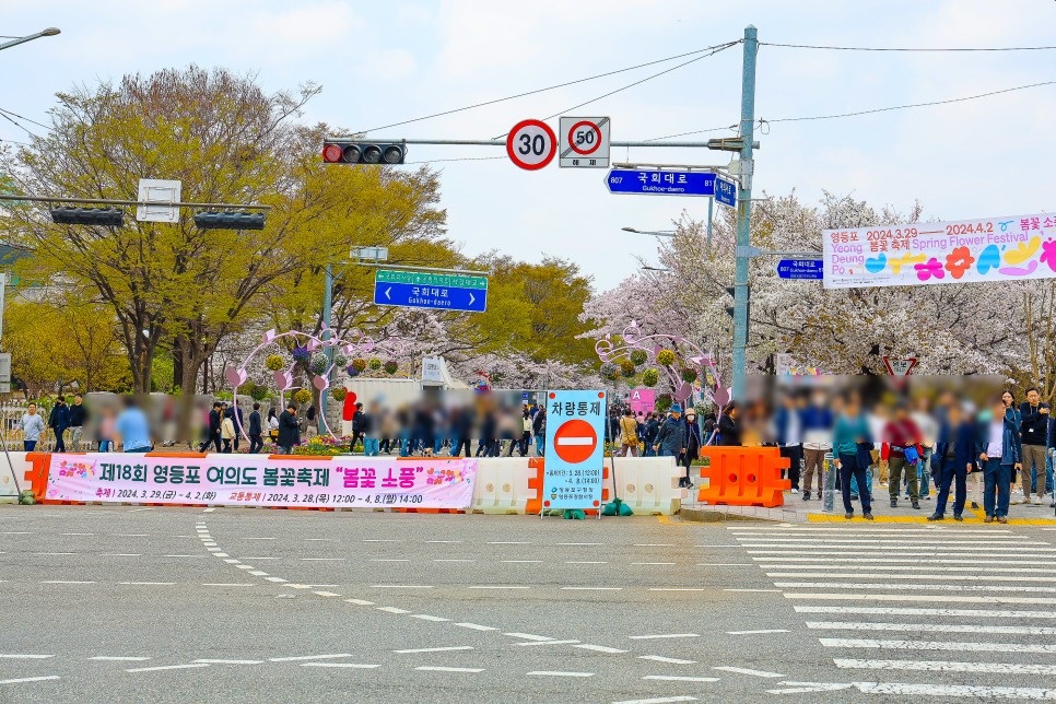 여의도 벚꽃 축제 계속 여의도 윤중로 벚꽃 만개 4월5일 실시간
