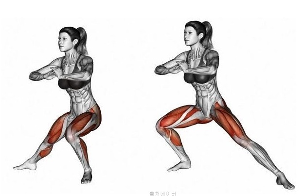 여자 하체 운동 홈트 다리 근력 허리 근육 강화 프론트스쿼트 사이드 스쿼트 효과