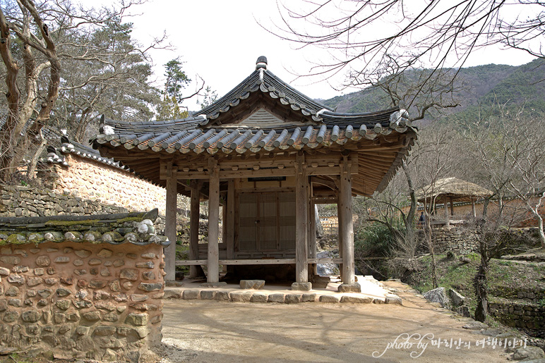 3월 꽃구경 담양 여행 담양 소쇄원 산수유 매화는...