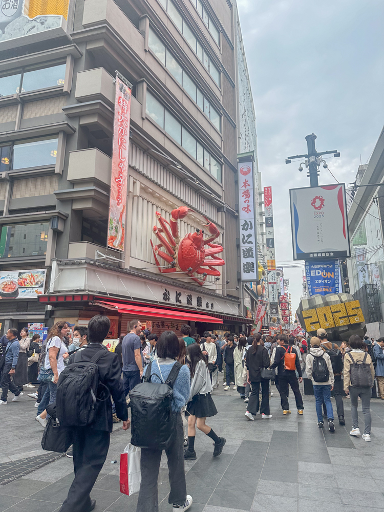 일본 돈키호테 쇼핑 할인 꿀팁 카카오페이 qr결제