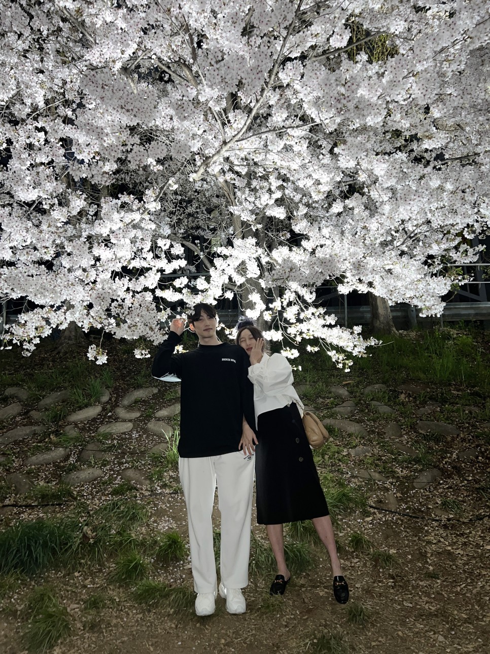 천안 벚꽃 명소 원성천 사진스팟 공유 ! 밤산책하기 딱 좋아