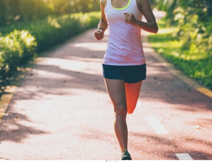 50대 이영애 몸매비결 체지방 빼는 운동 러닝 달리기 조깅 효과
