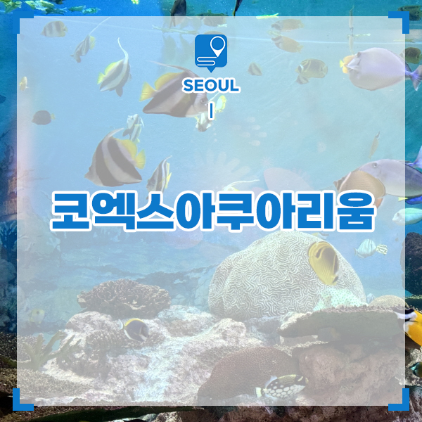 강남 코엑스 놀거리 코엑스 아쿠아리움 할인 서울 여행지 추천