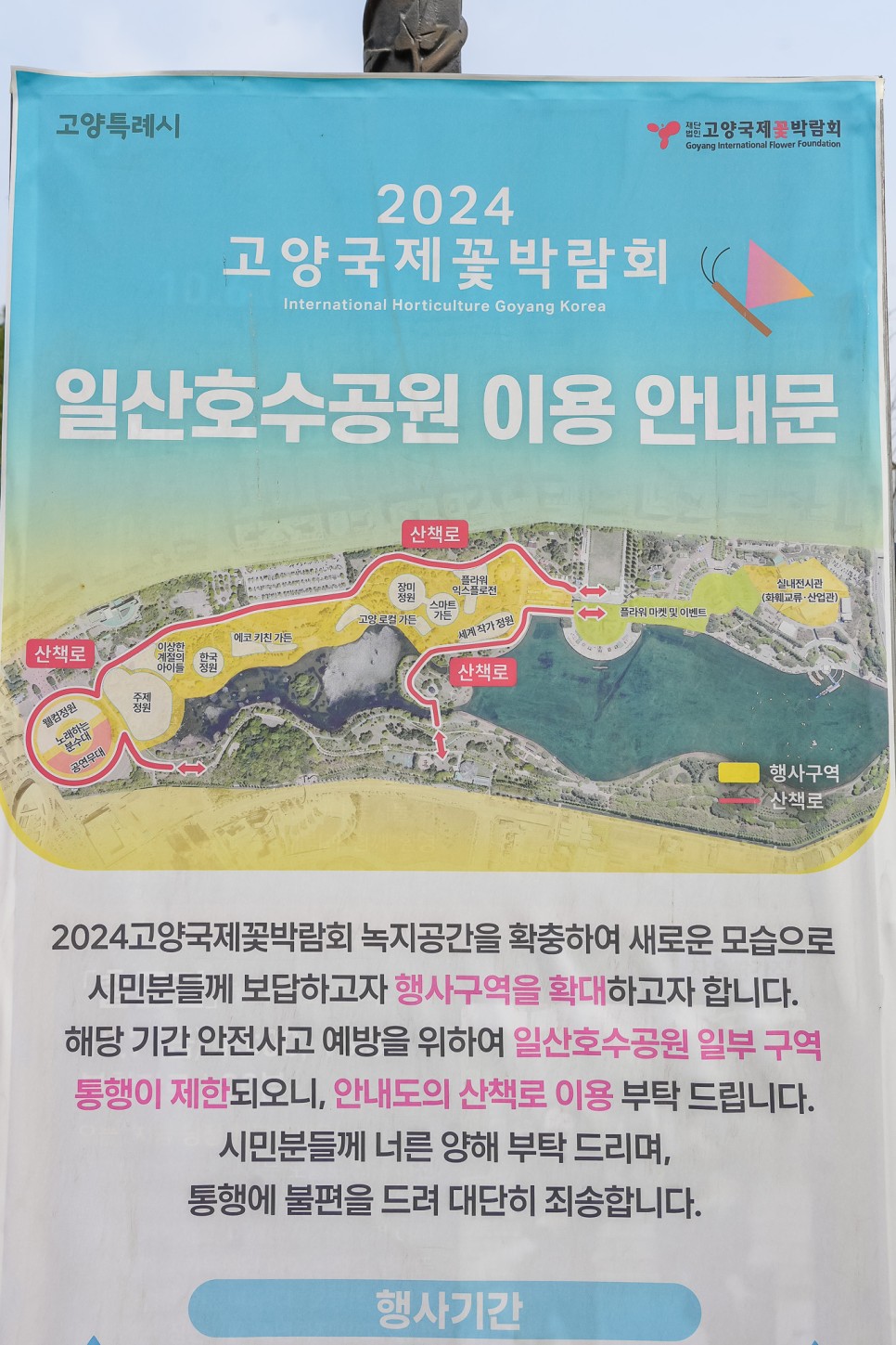 서울근교 여행 일산 호수공원 벚꽃 만개 4월6일 실시간