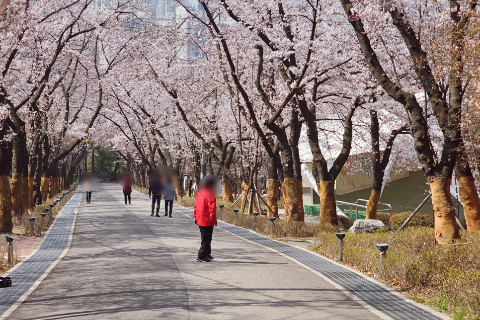부천 벚꽃 명소 도당산 벚꽃축제 부천 가볼만한곳 서울 근교 나들이