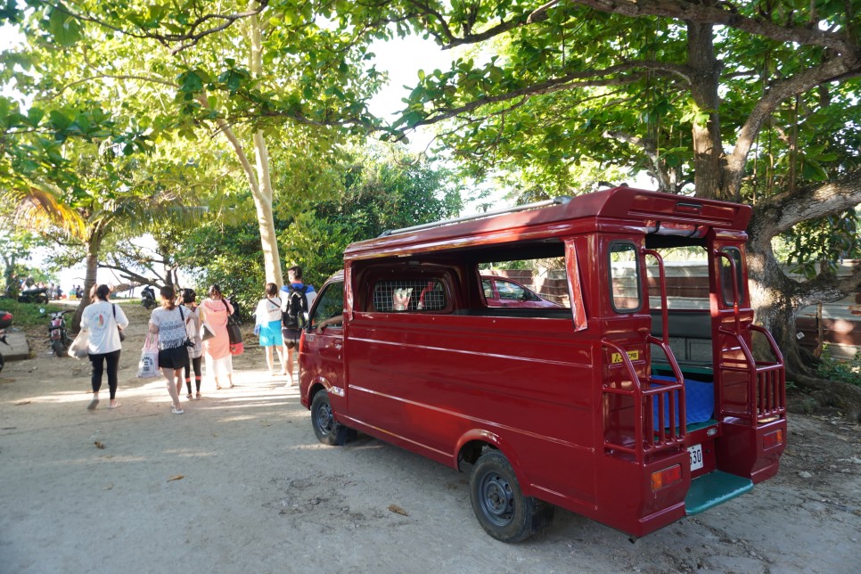 필리핀 보홀 자유여행 후기: 일정, 호핑투어 준비물 꿀팁 3박5일