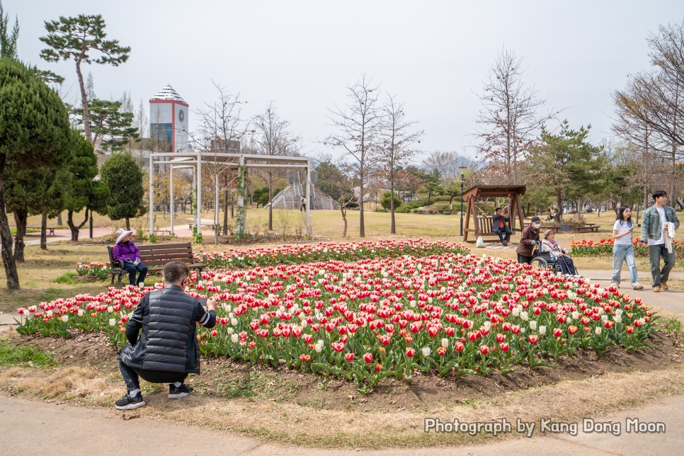 대전 가볼만한곳 대전 데이트 코스 놀거리 대전 벚꽃 명소 대전 유림공원 피크닉