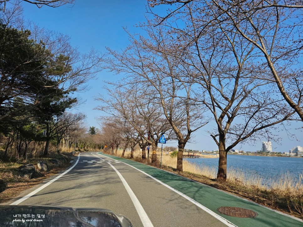 속초 고기집 소야촌 벚꽃 대신 한우불고기 속초여행 추천 코스