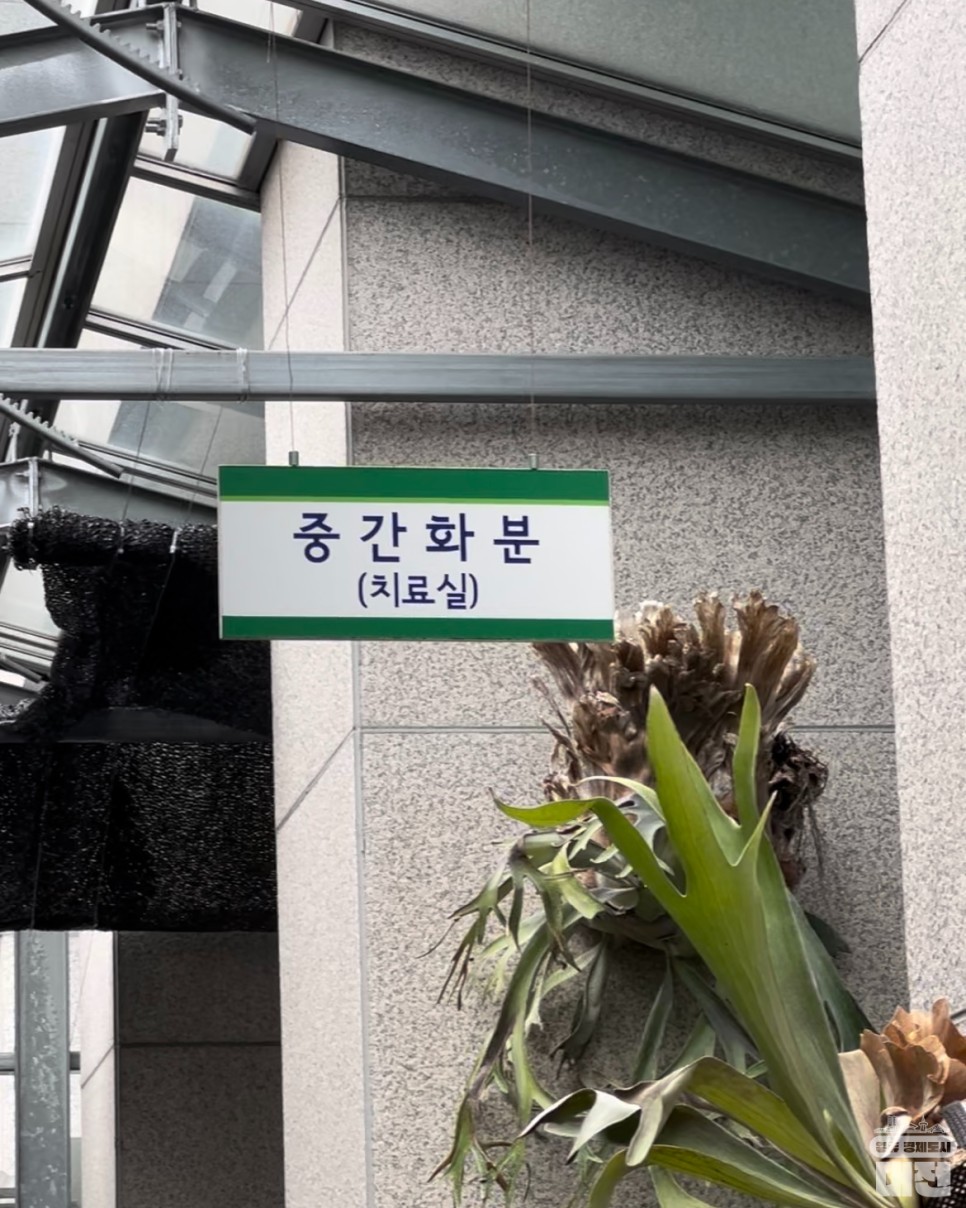 우리집 식물이 아플 땐, 대전시청 화분병원