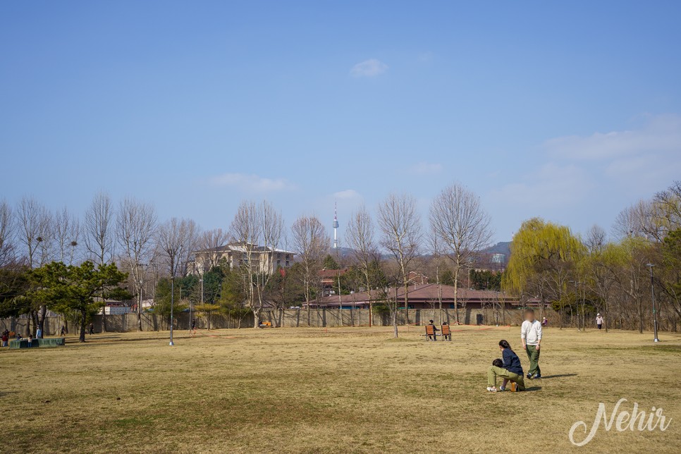 용산가족공원 용산 볼거리 놀거리 서울 봄나들이