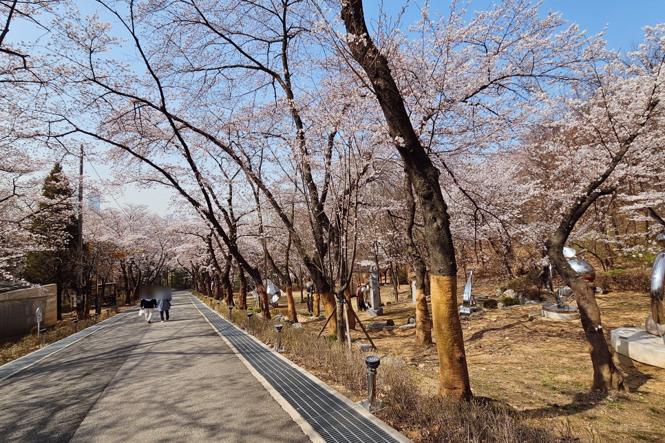 부천 벚꽃 명소 도당산 벚꽃축제 부천 가볼만한곳 서울 근교 나들이