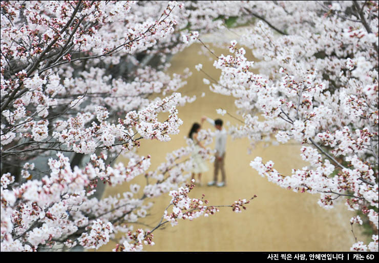 주말여행 추천 서울 나들이 성수동 서울숲 벚꽃 튤립 놀거리