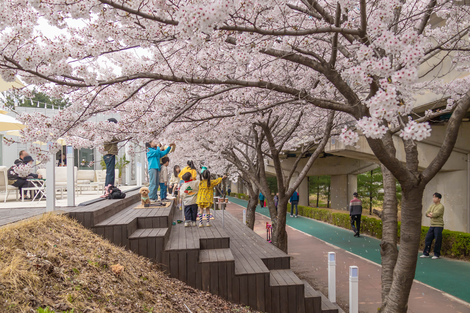 아산 가볼만한곳  아산 카페 인주 한옥점, 오엠엠, 공세리성당 충남 벚꽃명소