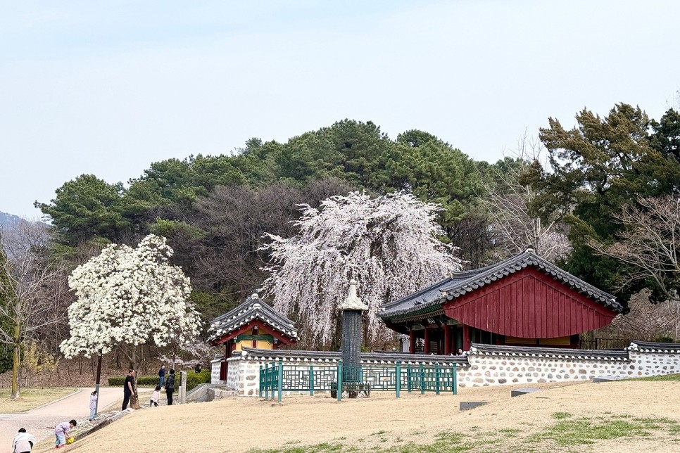 의정부 가볼만한곳 벚꽃명소 송산사지 근린공원 중랑천 의정부 공원