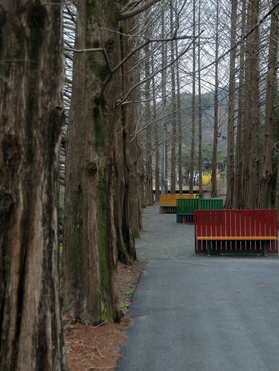 대전 근교 가볼만한곳 아이와 금산 지구별 그림책마을 금산캠핑