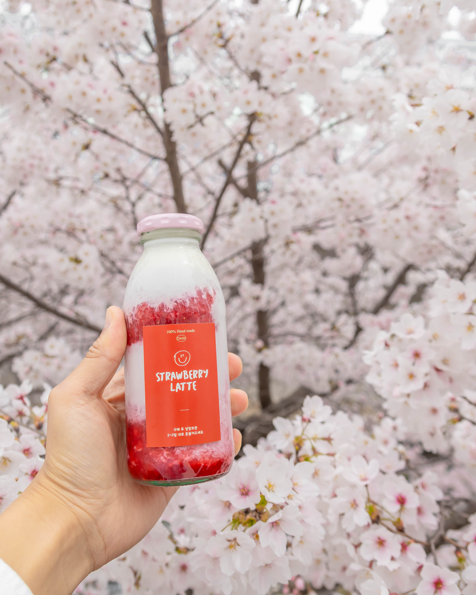 아산 가볼만한곳  아산 카페 인주 한옥점, 오엠엠, 공세리성당 충남 벚꽃명소