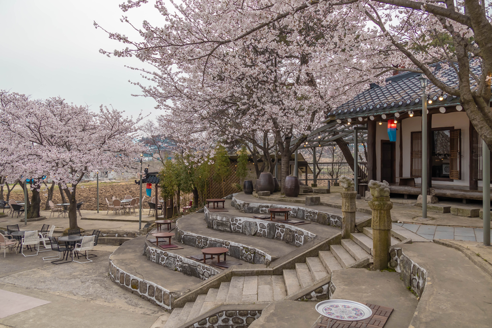 아산 가볼만한곳  아산 카페 인주 한옥점, 오엠엠, 공세리성당 충남 벚꽃명소