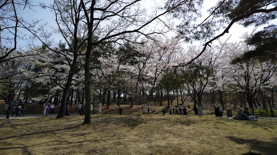 일산 호수공원 소풍 날씨 좋네요~