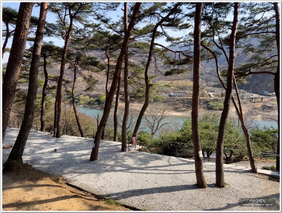 전남 구례 섬지캠핑장 봄내음 나는 벚꽃 산수유 캠핑