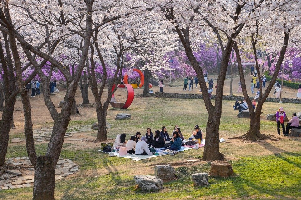 4월 경기도 가볼만한곳 부천 원미산 진달래축제 진달래공원 부천 꽃구경