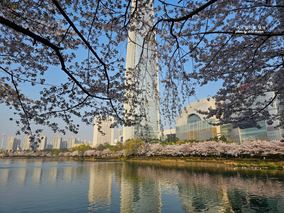 서울 벚꽃 명소 석촌호수 벚꽃축제 벚꽃엔딩