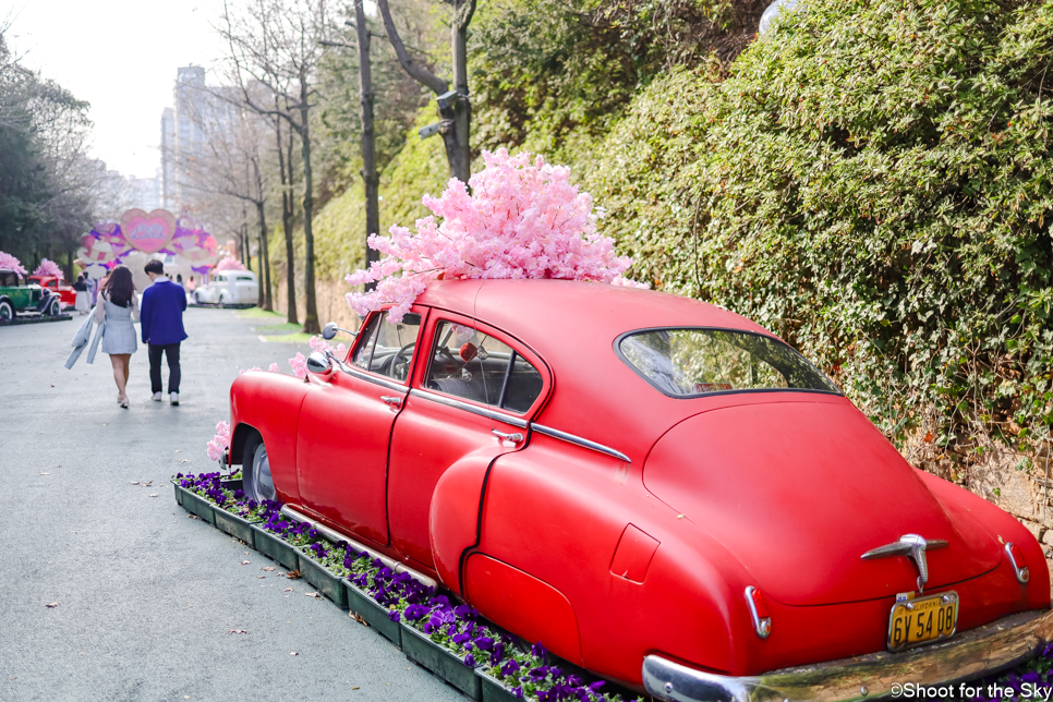 대구 벚꽃 명소 놀이공원 꽃구경 축제 데이트 코스 대구 이월드 할인
