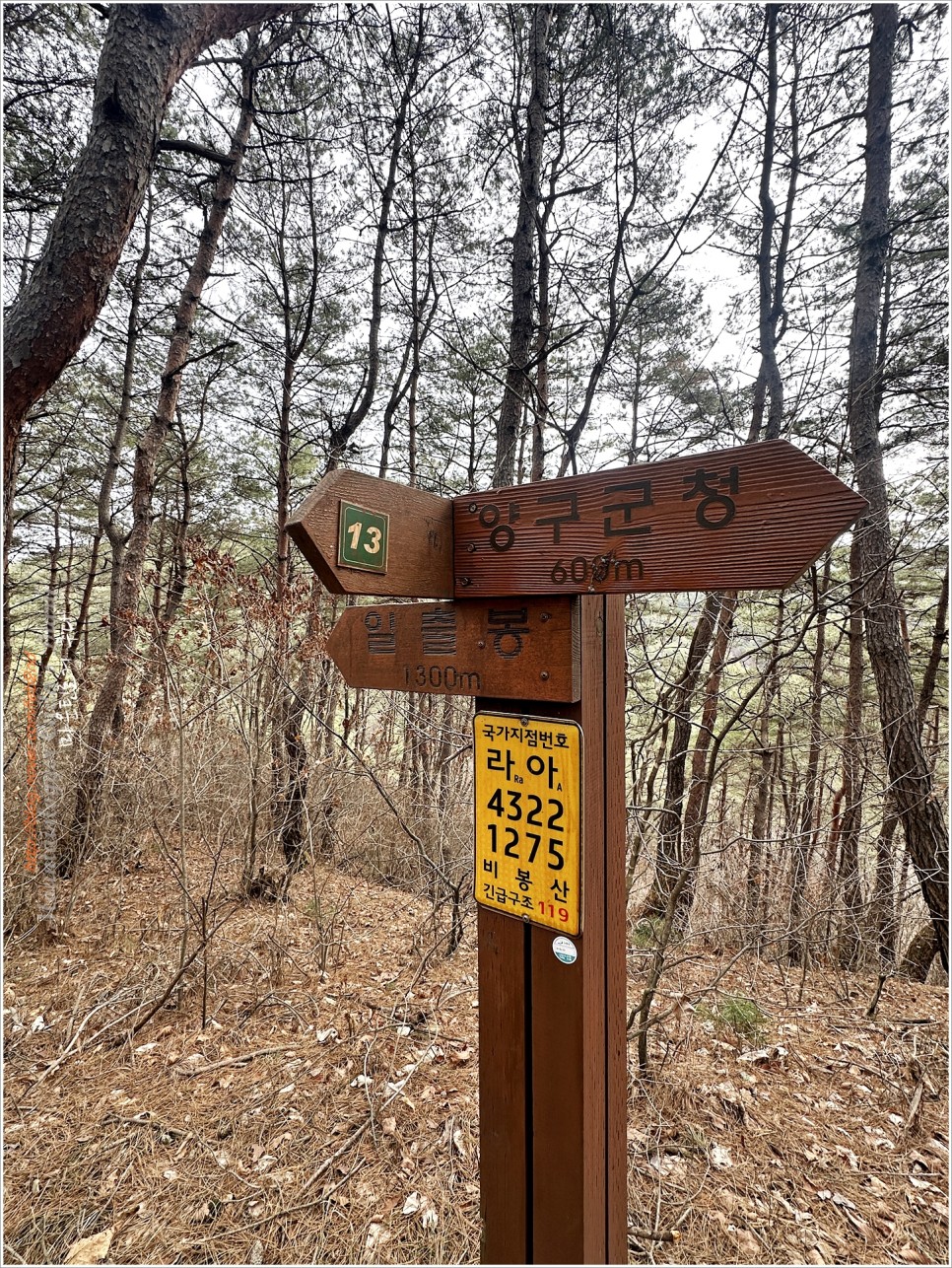 양구, 비봉산 / 파로호 한반도섬