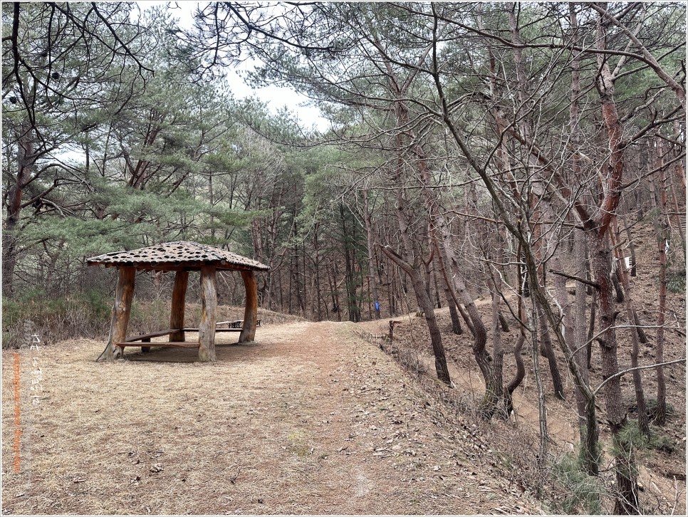 양구, 비봉산 / 파로호 한반도섬