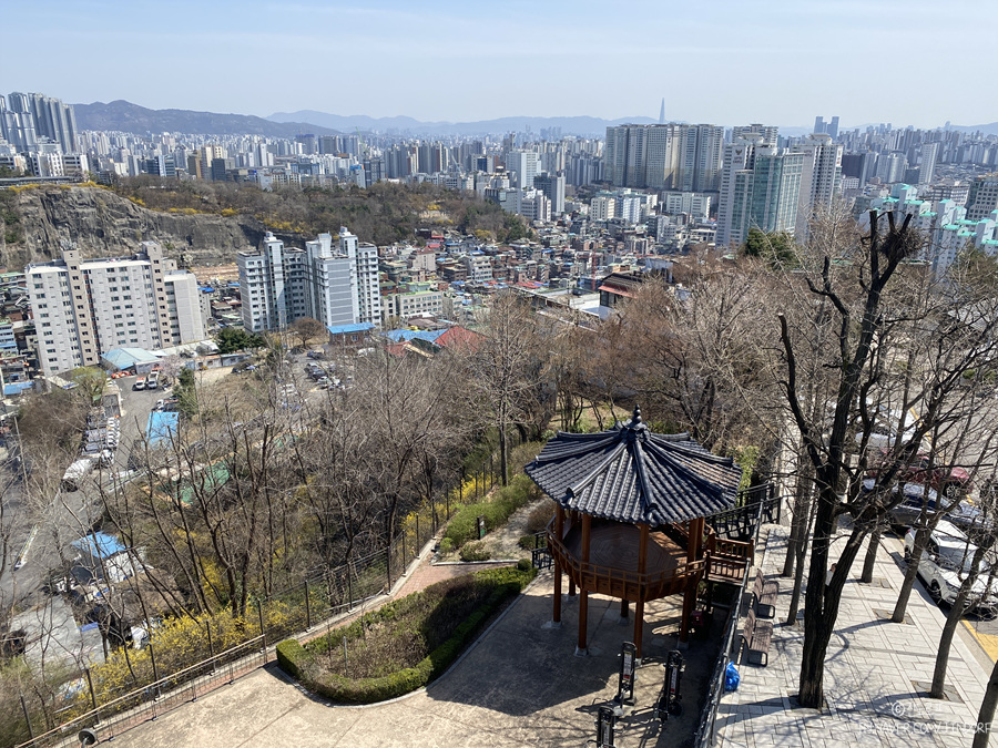 서울 봄나들이 데이트 채석장전망대 카페낙타 국내봄여행지 가볼만한곳 추천