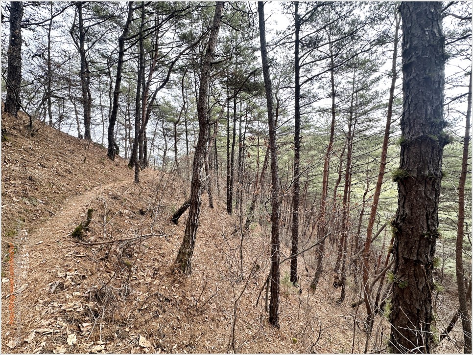 양구, 비봉산 / 파로호 한반도섬