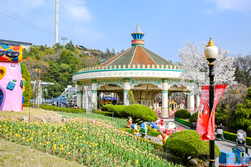 대구 벚꽃 명소 놀이공원 꽃구경 축제 데이트 코스 대구 이월드 할인
