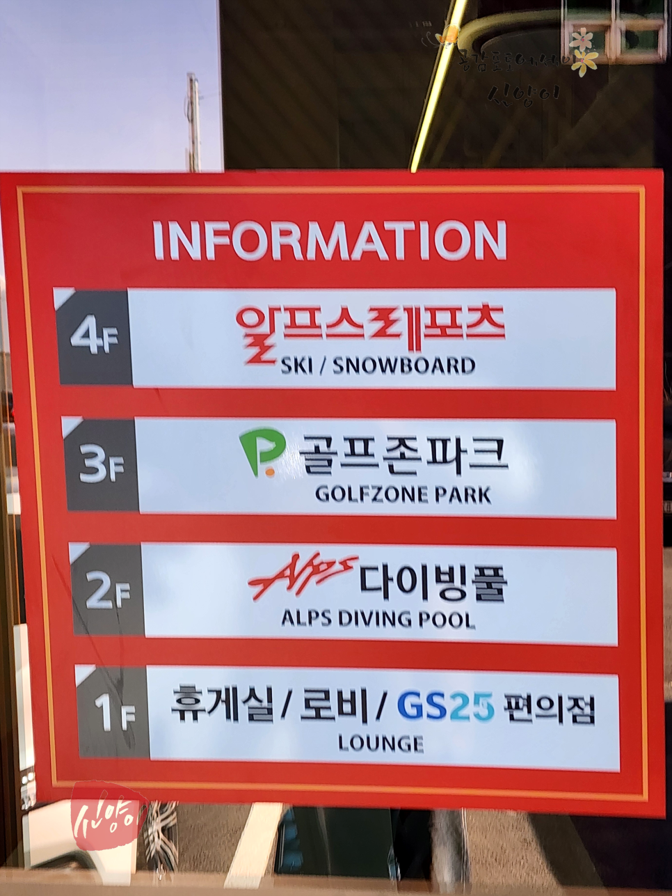 대전 프리다이빙 강습 후기 가격 비용 물놀이 준비물