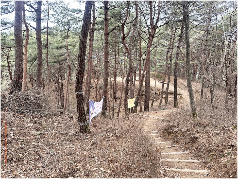 양구, 비봉산 / 파로호 한반도섬