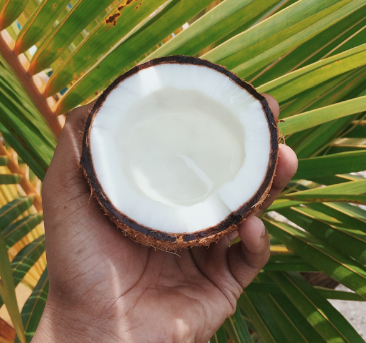 코코넛오일 피부 헤어팩 사용법 굳어버리는 신기한 기름